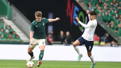 Ultimate Bet Name List for Fun Ideas